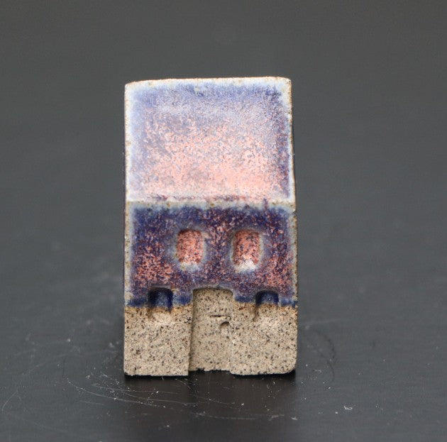 Huis klein roze blauw
