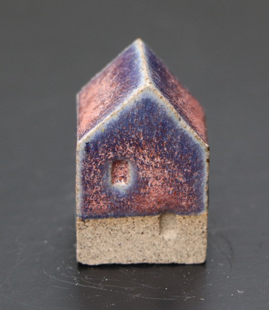 Huis klein roze blauw