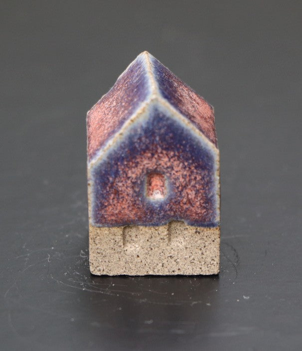 Huis klein roze blauw