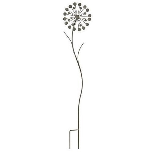 Bolletjesbloem 80cm