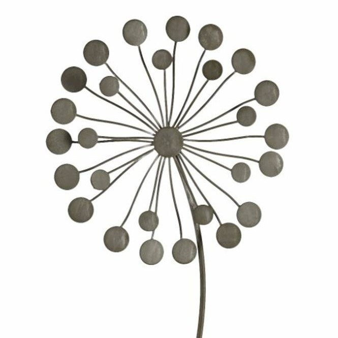 Bolletjesbloem 80cm