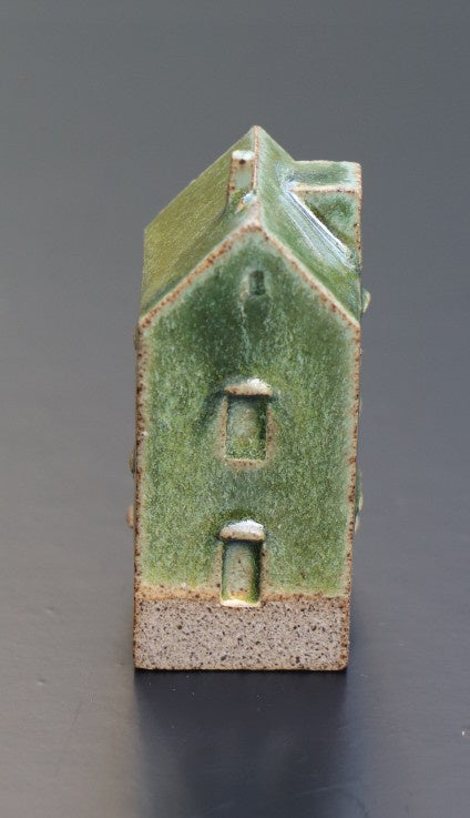 Huis groot mosgroen
