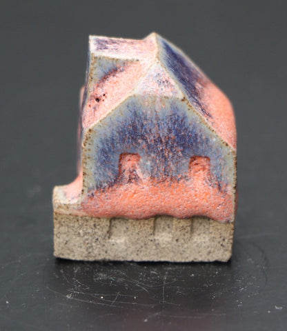 Huis klein roze blauw